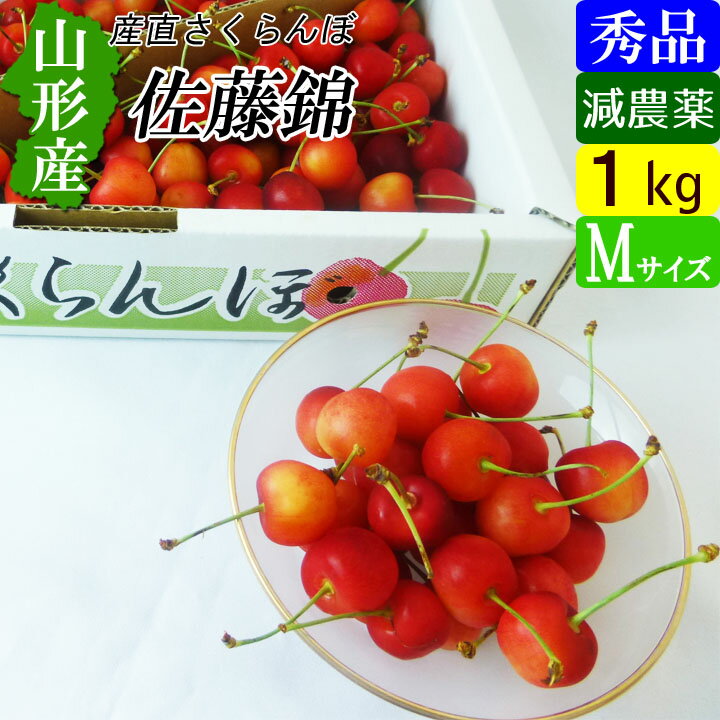 さくらんぼ 【送料無料】 山形産 減農薬さくらんぼ 秀品 Mサイズ 1kg 佐藤錦