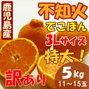 【送料無料】 鹿児島産 デコポン 不知火(しらぬい) 訳あり...
