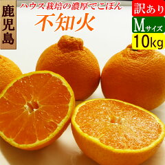 https://thumbnail.image.rakuten.co.jp/@0_mall/dekoboko/cabinet/fruit/dekopon/ymg001-m-10-sin.jpg