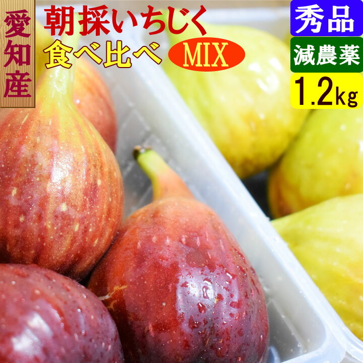 愛知県産 朝獲れイチジク 2種食べ比べ 1.2kg 減農薬 ドーフィン3p＋白いちじく1pのサムネイル