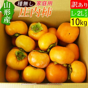 【送料無料】山形 庄内柿 訳あり 10kg（L〜2Lサイズ）バラ詰め 種なし 激安アウトレット 産地直送 お取り寄せ