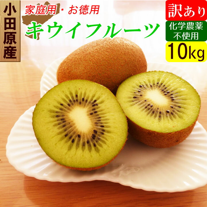 国産 キウイ 10kg 訳あり 規格外 オーガニック キウイフルーツ 産地直送 お取り寄せ 家庭用