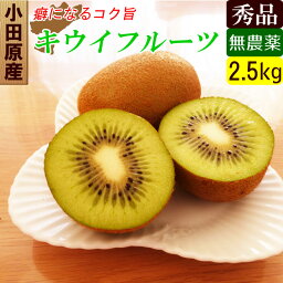 キウイ 国産 無農薬 キウイ 秀品 2.5kg キウイフルーツ 産地直送 お取り寄せギフト