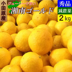 https://thumbnail.image.rakuten.co.jp/@0_mall/dekoboko/cabinet/fruit/mikan/joy016-2.jpg