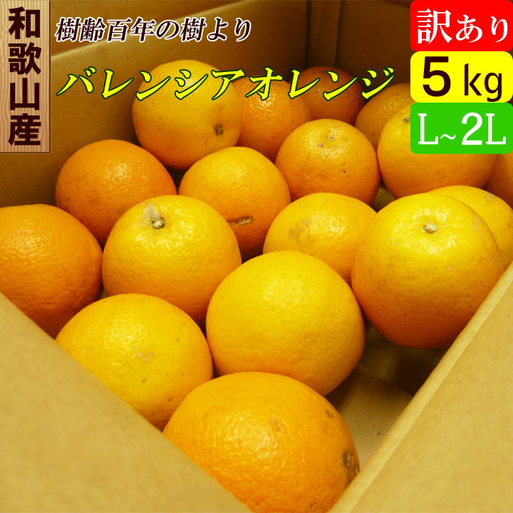 【送料無料】 和歌山産 バレンシアオレンジ 訳あり 5キロ L〜2Lサイズ 国産 家庭用