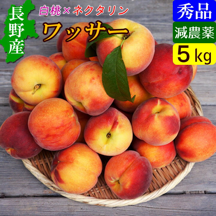 信州産 送料無料 ワッサー 秀品 5kg 減農薬 スイートリッチ ギフト・贈答に 産地直送 お取り寄せフルーツのサムネイル