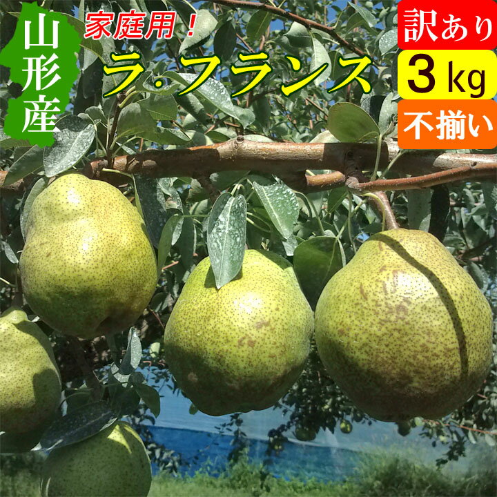 【送料無料】 山形県 ラフランス 大玉 訳あり 3kg 西洋梨 アウトレットのサムネイル