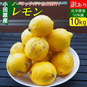 【お値打ちセール】国産 レモン 訳あり 10kg ノーワックス 有機肥料 家庭用 激安 産地直送 お取り寄せ 家庭用 傷あり 皮ごと食べられる