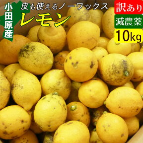 国産レモン 訳あり 10kg ノーワックス 有機肥料 家庭用 激安 産地直送 お取り寄せ 家庭用 傷あり