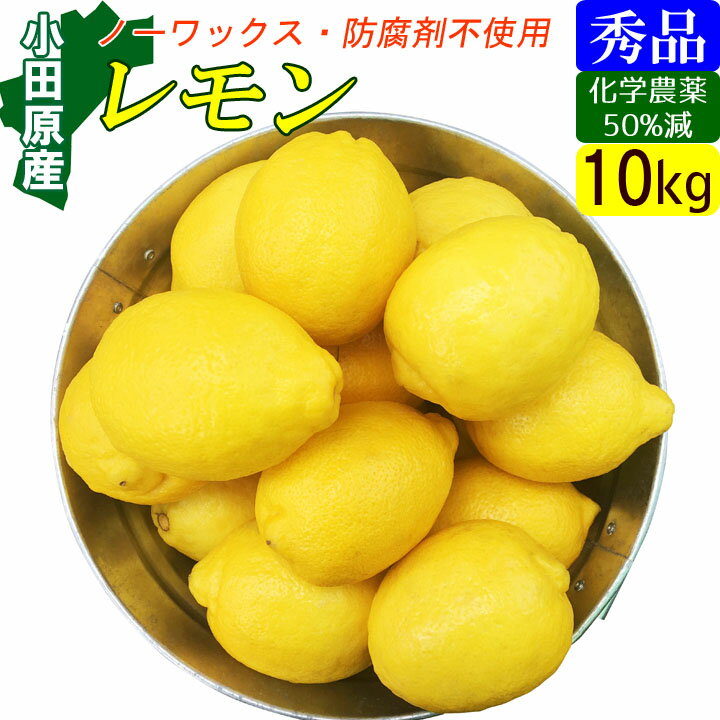 国産 レモン 正品 10kg 小田原 特別栽培 有機肥料 産地直送 お取り寄せ ギフト