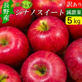 信州りんご 訳あり シナノスイート 5kg 葉取らず 長野産 産地直送 お取り寄せ