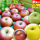 りんご 訳あり 葉取らず 10kg 長野産 リンゴ 送料無料 産地直送...(4)