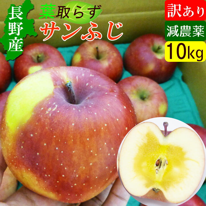 【送料無料】サンふじ 葉取らずりんご 蜜入り 有機肥料使用リンゴ! 長野 訳あり 10kg 産地直送 お取り寄せ