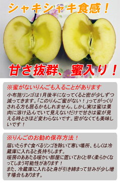 葉取らず リンゴ 訳あり 5kg サンふじ 長野産 リンゴ 送料無料 規格外 小布施