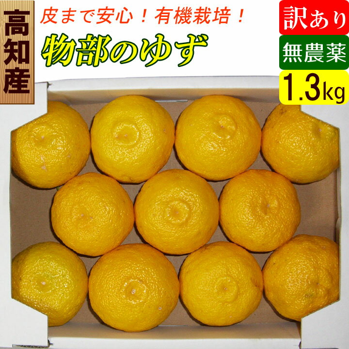 【送料無料】 【訳あり】 高知県 物部ブランド 無農薬 ゆず玉（約1.3kg) 家庭用 激安 アウトレット！のサムネイル