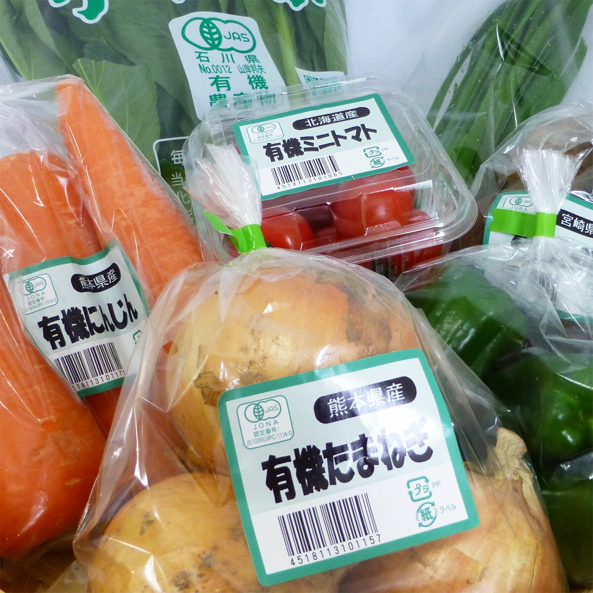 【1品ずつ個包装】無農薬 有機野菜 セット 10品目 オーガニックの野菜セット