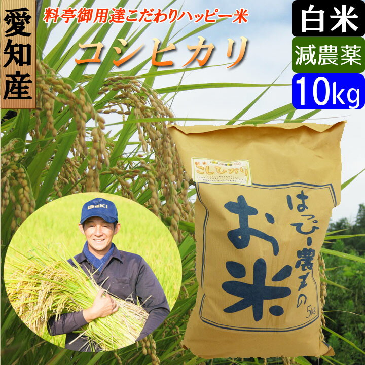 【令和2年産】【白米】 送料無料 愛知産 特別栽培米 コシヒカリ 10kg ハッピー米