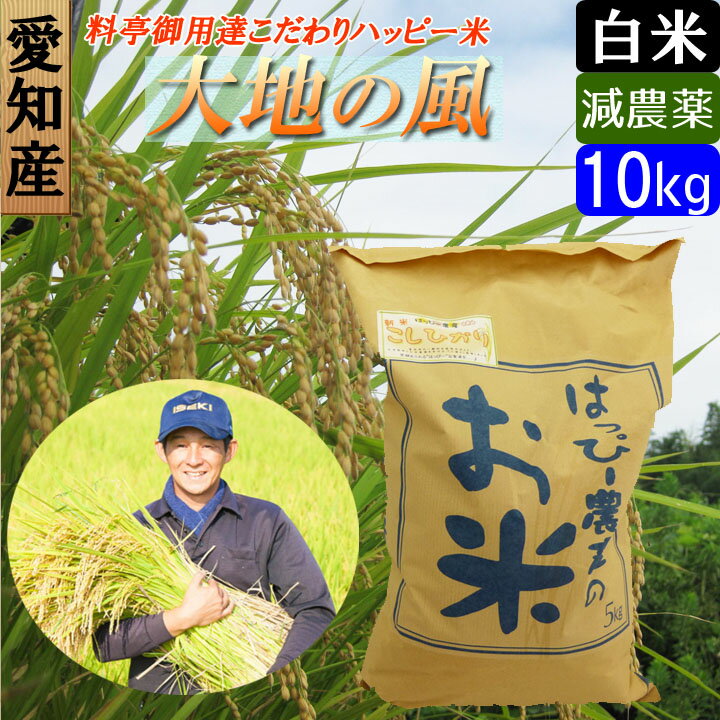 【令和2年産】【白米】 送料無料 愛知産 大地の風 10kg 低農薬米 ハッピー米