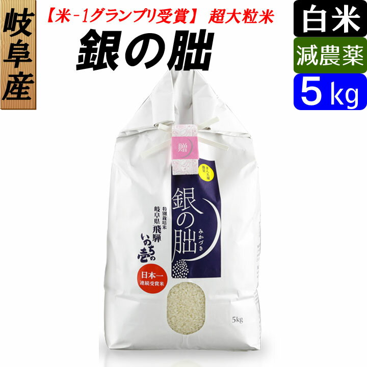 【白米】 岐阜産　銀の朏（ぎんのみかづき） いのちの壱　お米5kg　大粒 日本一のお米に選ばれました！