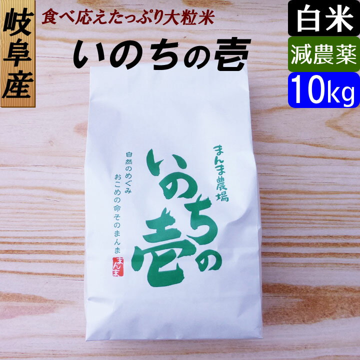 【白米】 岐阜産 いのちの壱　お米10kg　大粒 日本一のお米に選ばれました！減農薬