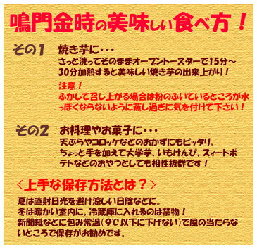【 送料無料 】 訳あり 鳴門金時 里浦産 さつまいも 6kg B品 激安アウトレット