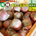 長野産 有機 玉ねぎ 10キロ 大玉サイズ ケル玉 業務用 徳用 オーガニック