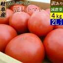 岐阜県飛騨産 減農薬 名人が作った トマト 訳あり 4kg箱 麗月とまと 産地直送 お取り寄せ