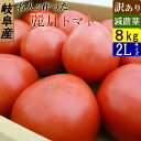 岐阜県飛騨産 減農薬 名人が作った トマト 訳あり 8kg 麗月とまと 産地直送 お取り寄せ