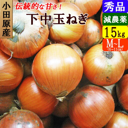 【送料無料】小田原産 下中玉ねぎ 正品 15kg 特別栽培 減農薬 たまねぎ 産地直送 お取り寄せ 【送料無料】小田原産 下中玉ねぎ 正品 15kg 特別栽培 減農薬 たまねぎ 産地直送 お取り寄せ