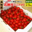 高知県 完熟 ハッピートマト 高糖度 ミニトマト 2.5kg 送料無料 産地直送 お取り寄せギフト