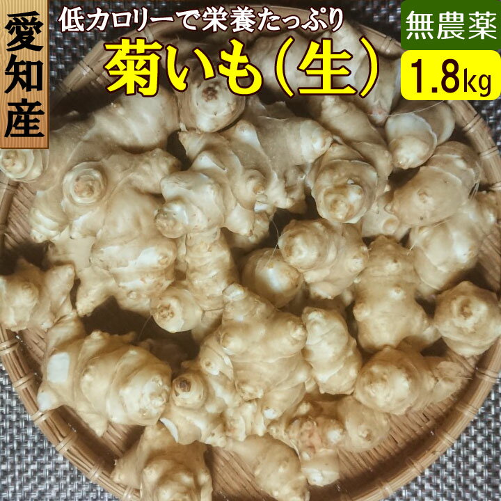 【送料無料】愛知県産 無農薬 菊芋 1.8kg（300g×6袋）キクイモ