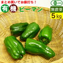【送料無料】有機ピーマン 5kg 一箱 まとめ買い 無農薬のオーガニック ピーマン(九州産)