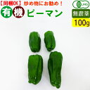 オーガニック 有機 ピーマン 100g 無農薬 有機野菜