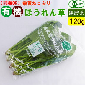 有機 ほうれん草 120g 無農薬 有機野菜 オーガニック