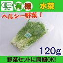 オーガニック 有機 水菜 120g 無農薬 有機野菜