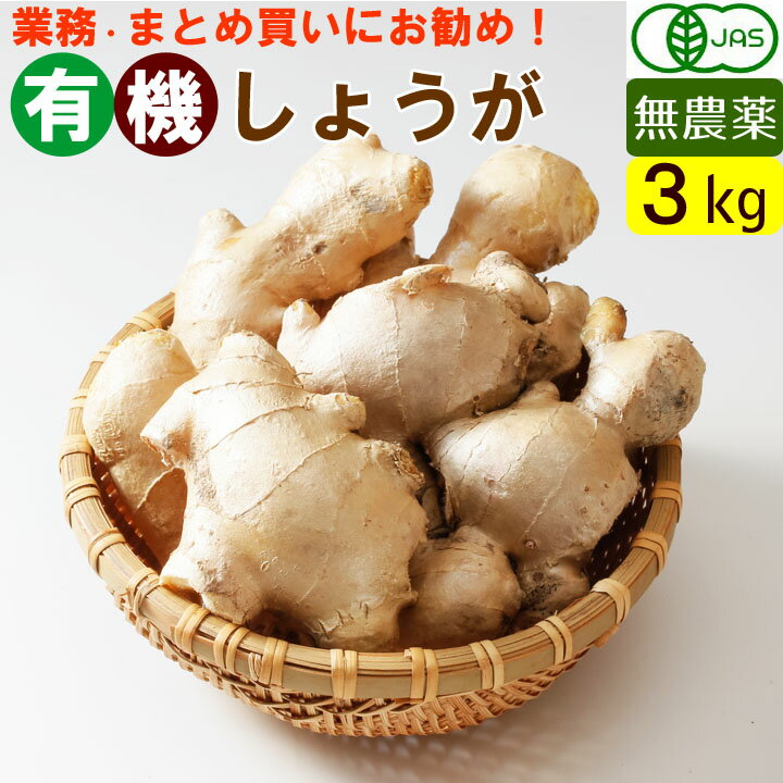 【送料無料】【箱買い】国産 オーガニック 有機 しょうが 3kg（100g×30） 無農薬 生姜 有機野菜　まとめ買い 1