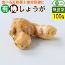 有機 しょうが 100g 無農薬 生姜 有機野菜 オーガニック 国産