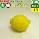 有機 レモン 1玉 無農薬 有機野菜 れもん オーガニック 国産