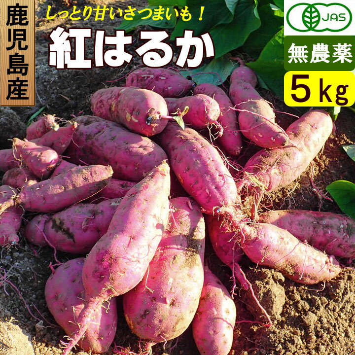 鹿児島産 有機さつまいも 5kg バラ詰め 無農薬 無化学肥料 紅はるか オーガニック お取り寄せ ギフトのサムネイル