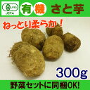 有機里芋　300g　無農薬のオーガニックさといも！