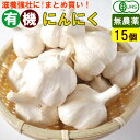 【送料無料】【箱買い】国産 オーガニック 有機 にんにく 15個入 無農薬 有機野菜 まとめ買い