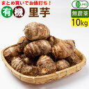 【送料無料】有機里芋 10キロ オーガニックさといも! まと...