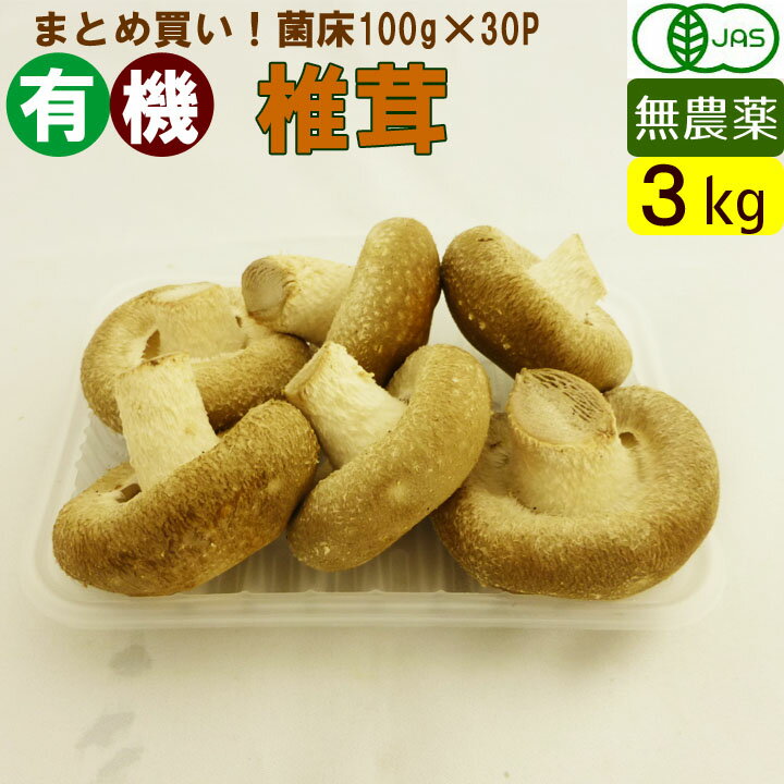 送料無料 岐阜県産 有機椎茸 3kg 菌床しいたけ（100g