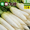 【送料無料】国産 有機大根 10kg オーガニック　まとめ買い 業務用だいこん