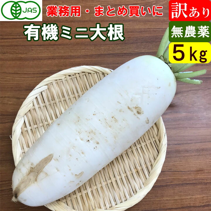 商品説明 ●品名：有機ミニ大根　訳あり品　B品 ●内容量：5キロ（5本～10本） ●産地：5月～10月は長野県、冬は熊本県 ●送料：無料（但し、北海道、九州は別途＋300円、沖縄、離島は別途+1,500円（1個口当たり）掛かりますがご了承くださいませ。価格は注文後修正致します。） ●注意：在庫処分の訳ありミニ大根です。表面が傷、割れなどがありますがその部分をカットしてもらえれば普通に美味しく食べることが出来ます。事前にカットしてお届けする場合もございます。送料無料　有機ミニ大根　訳あり　5kg まとめ買い サラダにもたっぷり使えるのでお勧めです！
