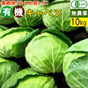 国産 有機キャベツ 10kg (5～10玉） 無農薬 オーガニック 業務用 箱売り お取り寄せ