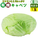 オーガニック 有機 キャベツ 1玉 無農薬 有機野菜