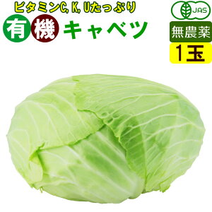 オーガニック 有機 キャベツ 1玉 無農薬 有機野菜