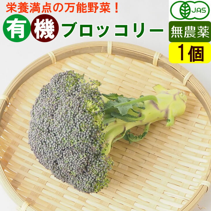 有機 ブロッコリー 1株 無農薬 オーガニック 有機野菜 国産...