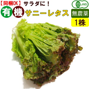 オーガニック 有機 サニーレタス 1玉 無農薬 有機野菜